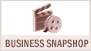 business Snapshot