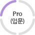 Pro(입문)